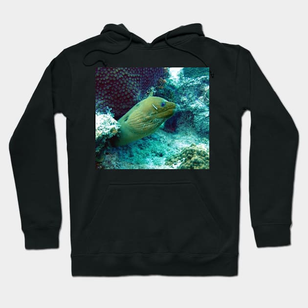 Green Moray Eel Hoodie by Scubagirlamy